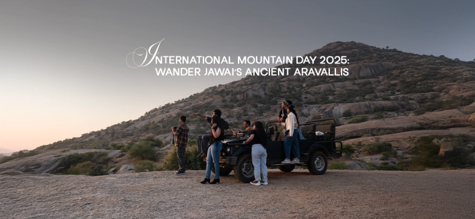 International Mountain Day 2025: Wander Jawai’s Ancient Aravallis