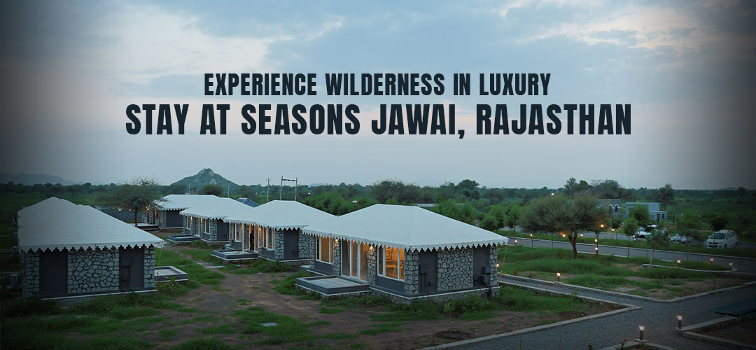 Experience Wilderness in Luxury: Stay at Seasons Jawai, Rajasthan