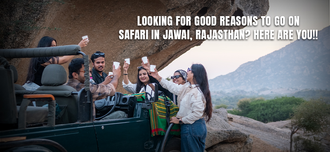 Looking for Good Reasons to go on Safari in Jawai, Rajasthan? Here are you!!