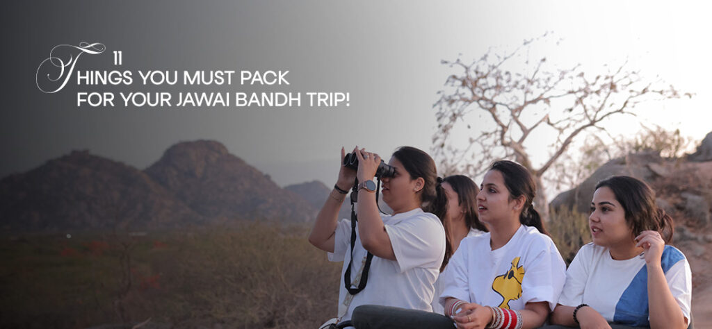 Jawai Bandh Trip