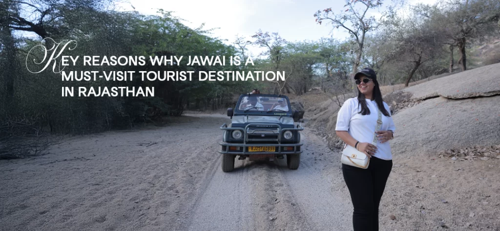 Tourist Destination in Rajasthan