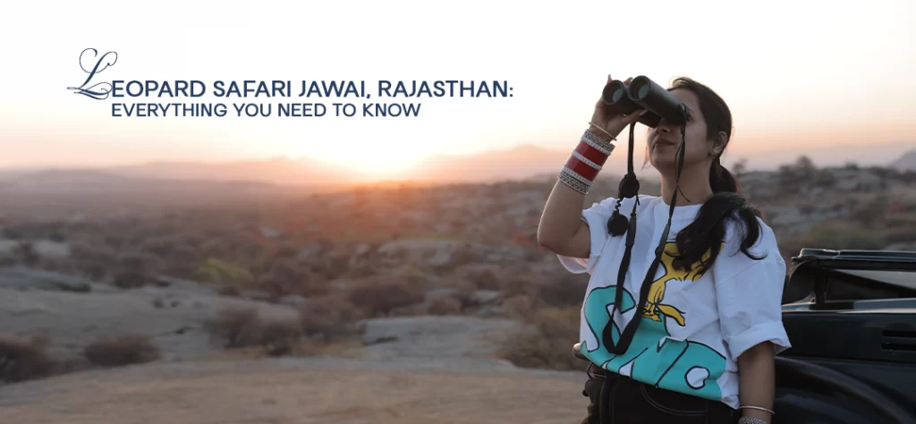 Leopard Safari Jawai