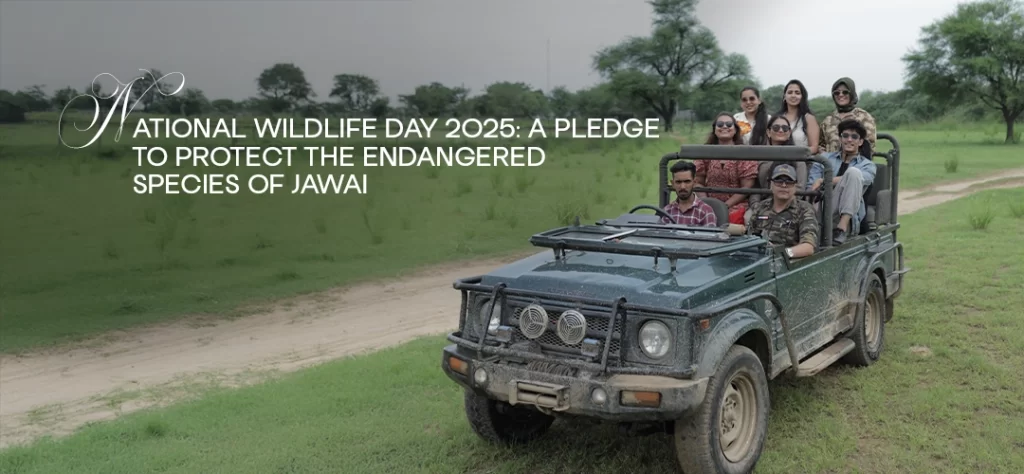 National Wildlife Day 2025