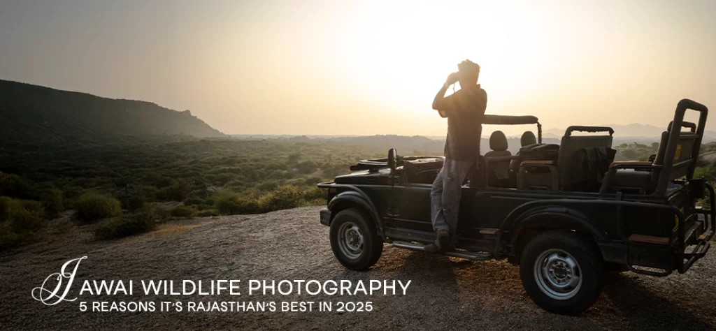 Jawai Wildlife Photography