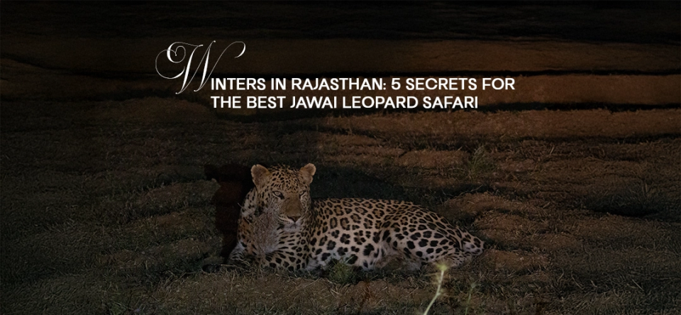 Winters in Rajasthan