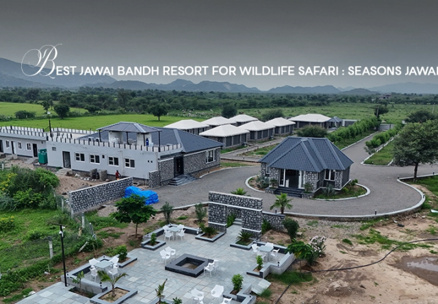 Jawai Luxury Resorts: What to Look for Before Booking Your Stay