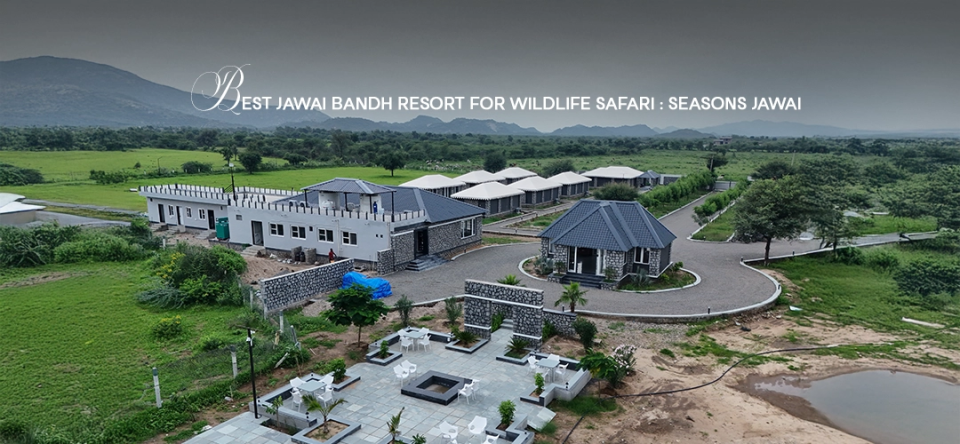 Jawai Bandh Resort